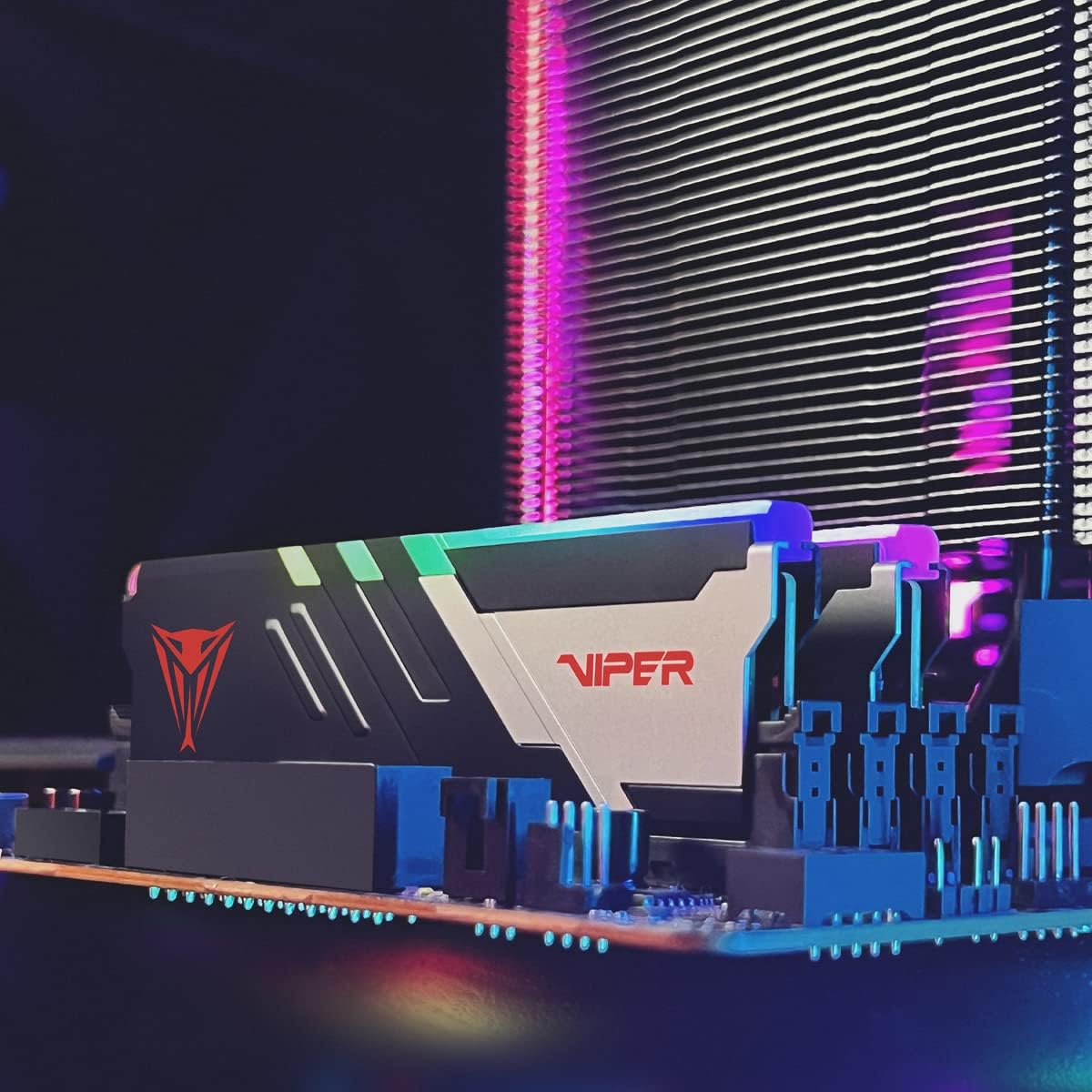 PATRIOT VIPER VENOM RGB DDR5 (PAR)