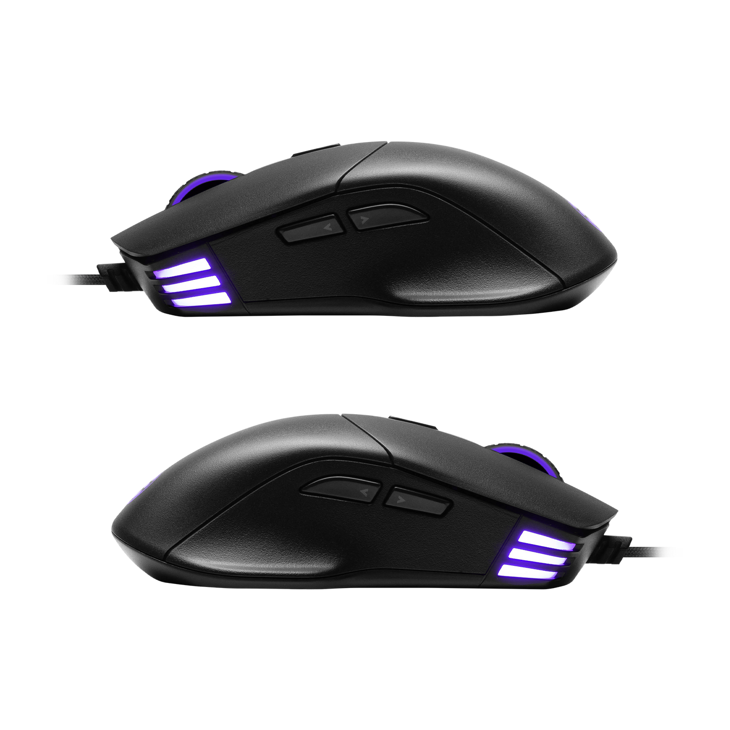 EVGA X12