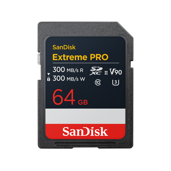 SD card