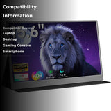 MONITOR PORTATIL AYY 15" 1080P FHD IPS vista 3