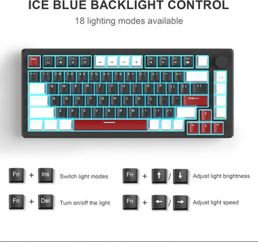 MAGEGEE STAR75 75%