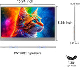 MONITOR PORTATIL AYY 15" 1080P FHD IPS vista 8