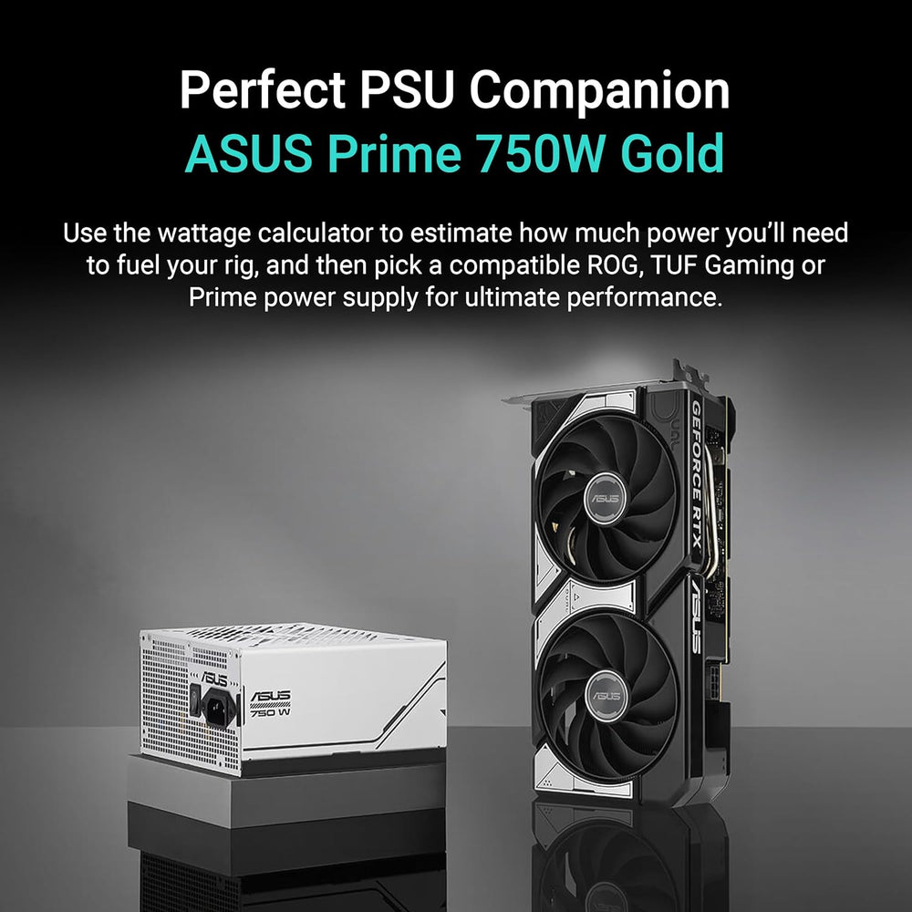 RTX 5060 Dual 8GB
