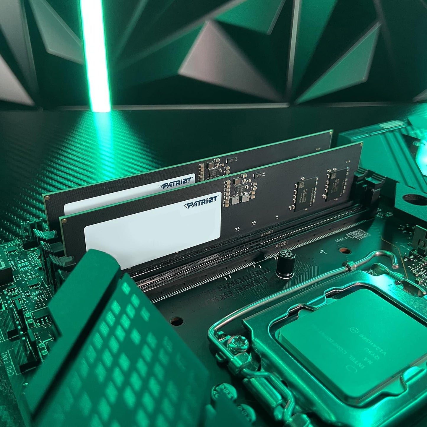 PATRIOT MEMORY SIGNATURE DDR5 (UNIDAD)