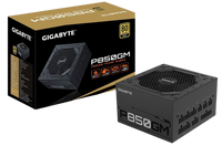 P850GM 850W Gold