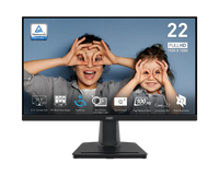PRO MP225 22" FHD 100Hz IPS